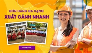 Cty Xkld Vov Tuyển Dụng 2024 Tphcm Online Login Student