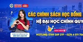 Học Bổng Sinh Viên Sen Hồng Đồng Tháp 2024 Pdf