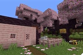 Minecraft Bản Hoa Anh Đào