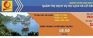 Ngành Quản Trị Du Lịch Và Lữ Hành Duy Tân